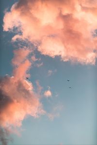 Preview wallpaper birds, clouds, sky, pink