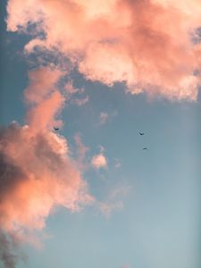 Preview wallpaper birds, clouds, sky, pink