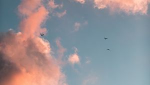 Preview wallpaper birds, clouds, sky, pink