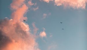 Preview wallpaper birds, clouds, sky, pink