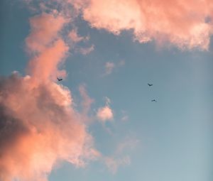Preview wallpaper birds, clouds, sky, pink