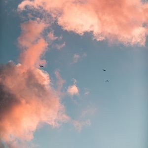 Preview wallpaper birds, clouds, sky, pink