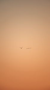 Preview wallpaper birds, flight, sky, minimalism