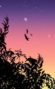Preview wallpaper birds, flight, stars