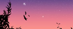 Preview wallpaper birds, flight, stars