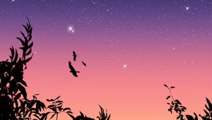 Preview wallpaper birds, flight, stars