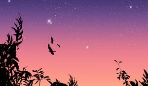 Preview wallpaper birds, flight, stars