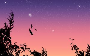Preview wallpaper birds, flight, stars