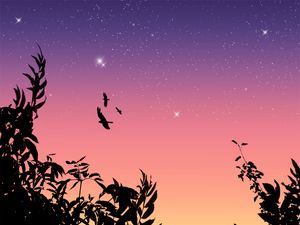 Preview wallpaper birds, flight, stars