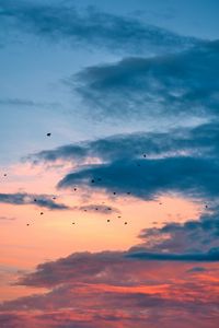 Preview wallpaper birds, flight, sunset, clouds