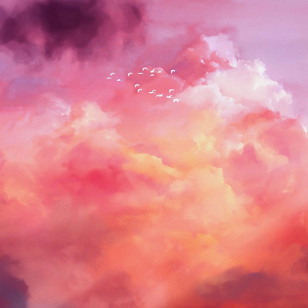 1280x1280 Wallpaper birds, flock, pink, sky