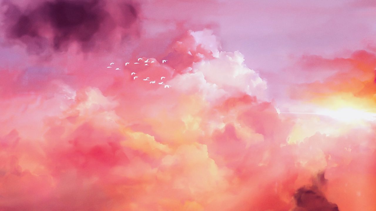 1280x720 Wallpaper birds, flock, pink, sky