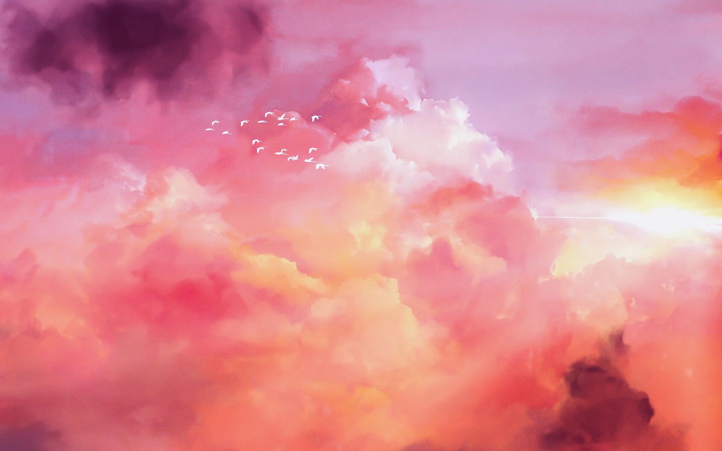 1440x900 Wallpaper birds, flock, pink, sky