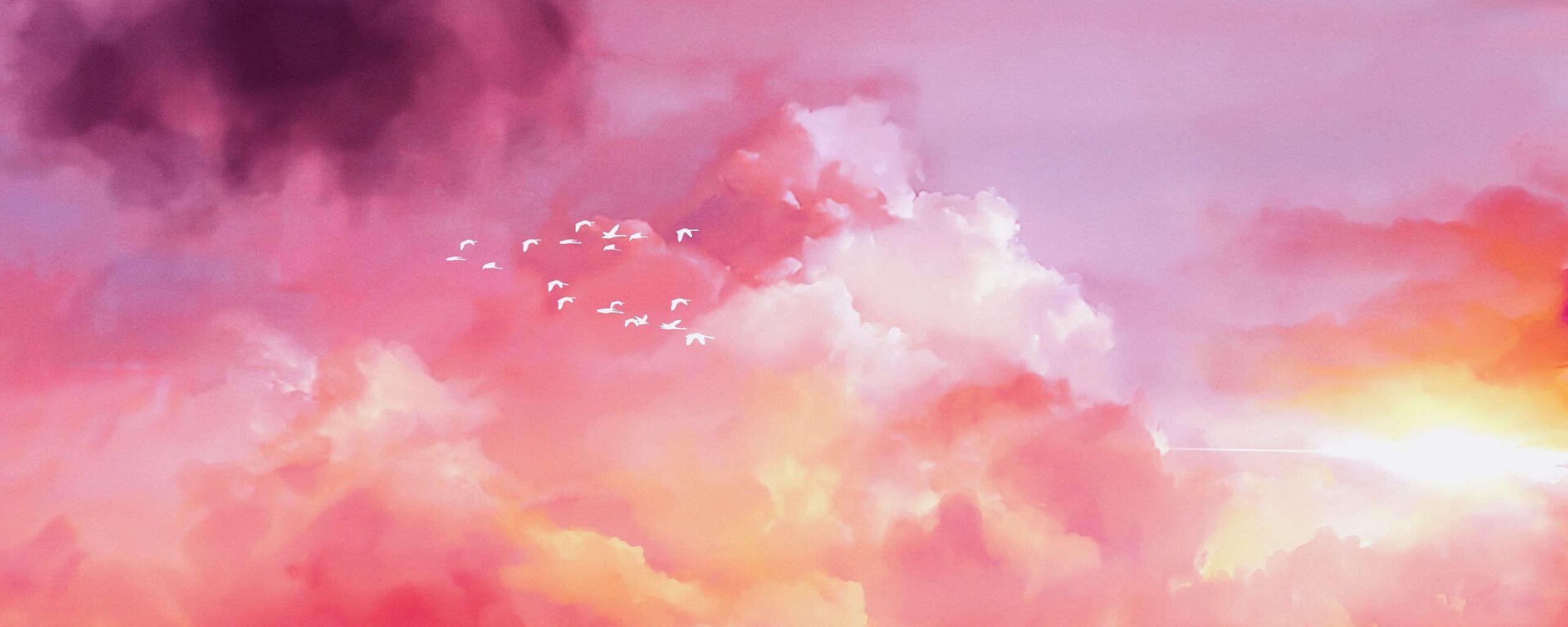2560x1024 Wallpaper birds, flock, pink, sky
