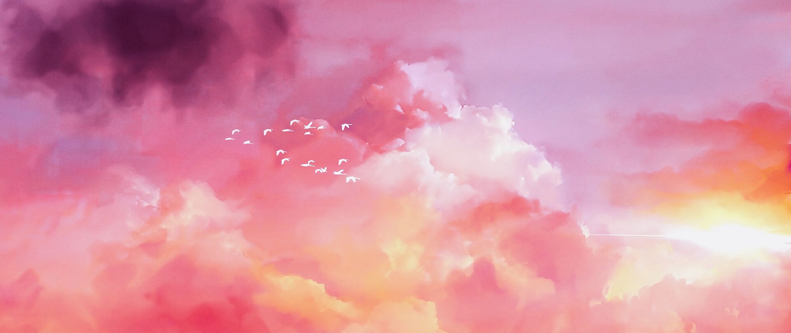 2560x1080 Wallpaper birds, flock, pink, sky
