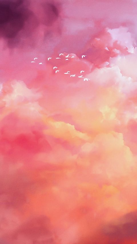 480x854 Wallpaper birds, flock, pink, sky