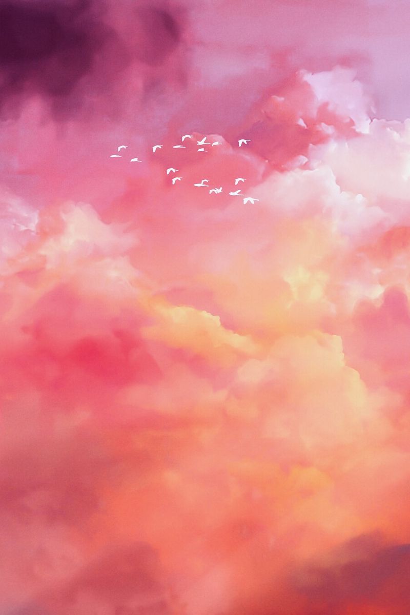 800x1200 Wallpaper birds, flock, pink, sky