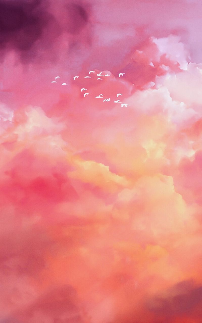800x1280 Wallpaper birds, flock, pink, sky