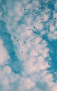 Preview wallpaper birds, flock, sky, clouds