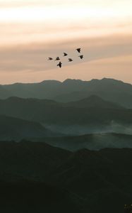 Preview wallpaper birds, hills, relief, evening