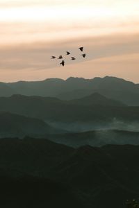 Preview wallpaper birds, hills, relief, evening