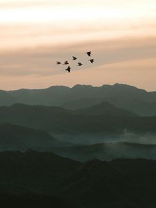 Preview wallpaper birds, hills, relief, evening