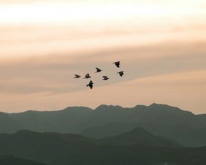 Preview wallpaper birds, hills, relief, evening