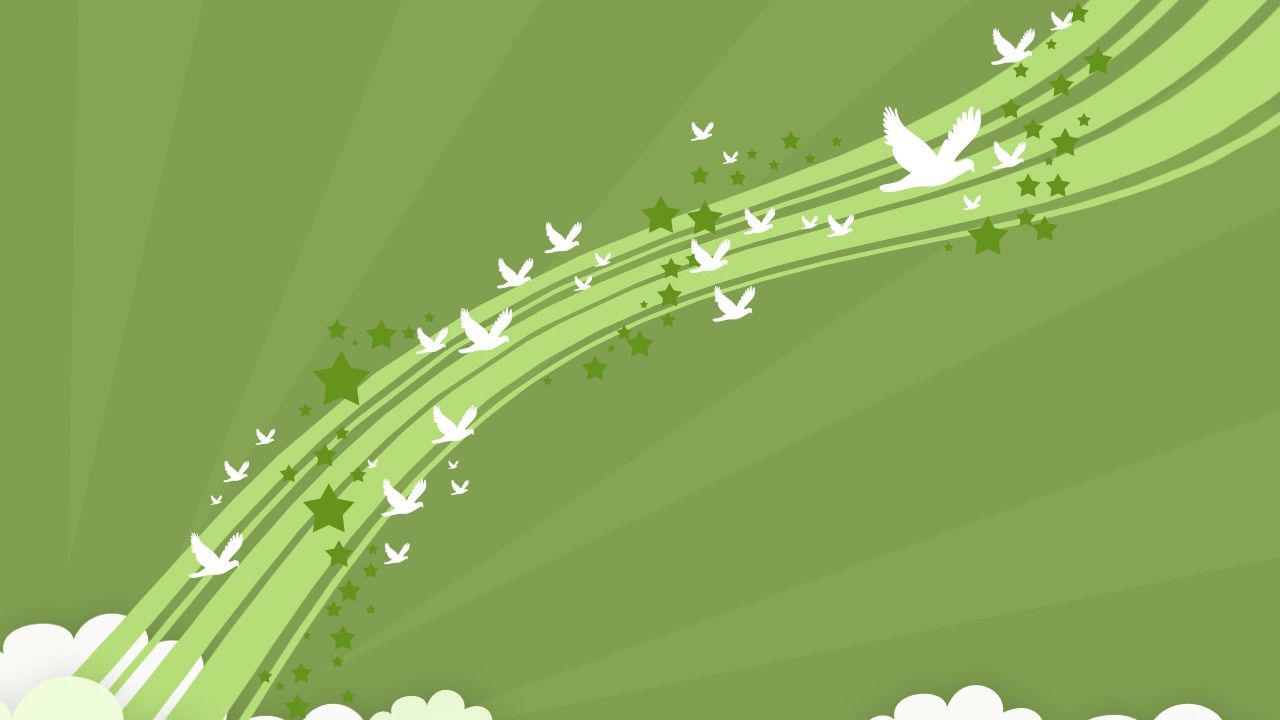 Wallpaper birds, lines, flight, green