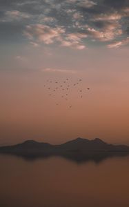 Preview wallpaper birds, mountains, clouds, fog, evening