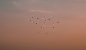 Preview wallpaper birds, mountains, clouds, fog, evening