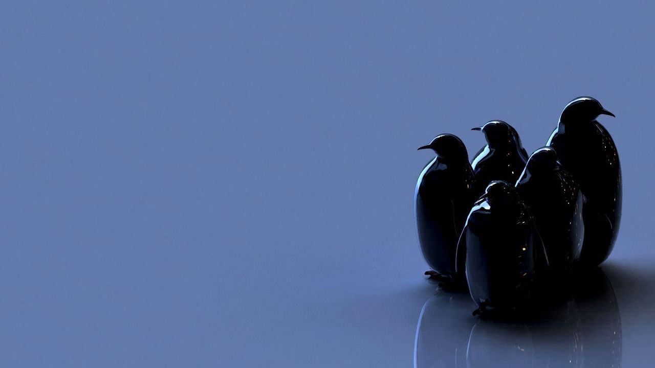 Wallpaper birds, penguins, reflection, figure