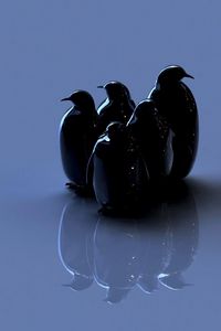 Preview wallpaper birds, penguins, reflection, figure