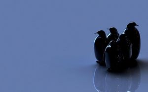 Preview wallpaper birds, penguins, reflection, figure