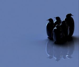 Preview wallpaper birds, penguins, reflection, figure