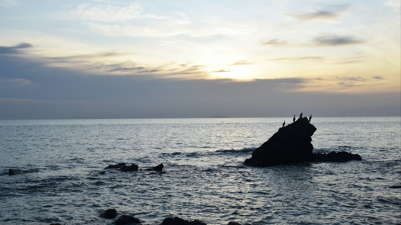 Wallpaper birds, rocks, sea, horizon, sky