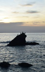 Preview wallpaper birds, rocks, sea, horizon, sky