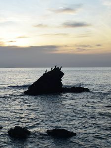 Preview wallpaper birds, rocks, sea, horizon, sky