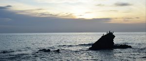 Preview wallpaper birds, rocks, sea, horizon, sky