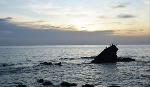 Preview wallpaper birds, rocks, sea, horizon, sky