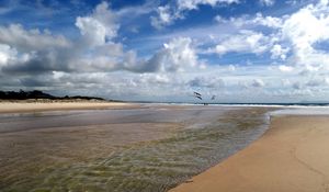 Preview wallpaper birds, sea, beach, landscape, nature