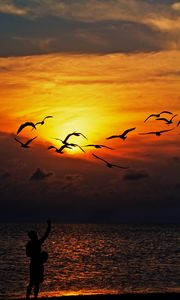 Preview wallpaper birds, sea, silhouettes, sunset