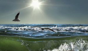 Preview wallpaper birds, sea, sun, waves, light, seagulls, splashes, day