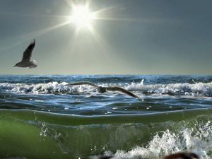 Preview wallpaper birds, sea, sun, waves, light, seagulls, splashes, day