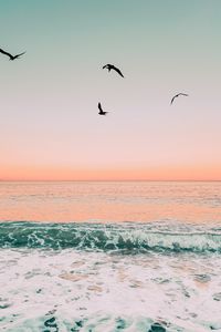 Preview wallpaper birds, sea, waves, foam, sunset