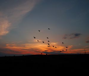 Preview wallpaper birds, silhouettes, dark, dusk, sunset