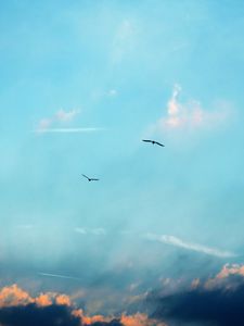 Preview wallpaper birds, silhouettes, flight, sky, clouds