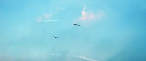 Preview wallpaper birds, silhouettes, flight, sky, clouds