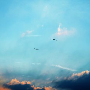 Preview wallpaper birds, silhouettes, flight, sky, clouds