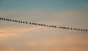 Preview wallpaper birds, silhouettes, sky, clouds, twilight