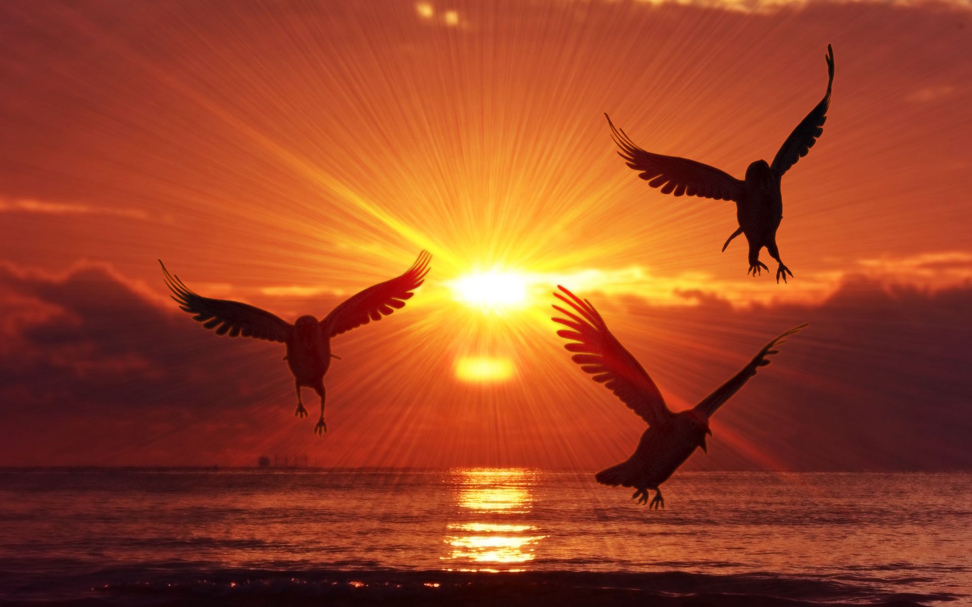 1920x1200 Wallpaper birds, silhouettes, sunrise, sea